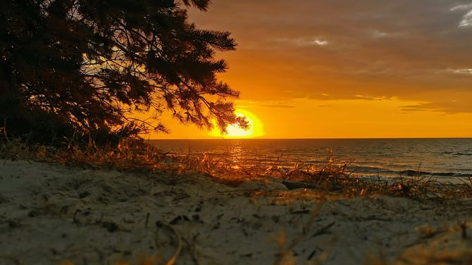 Counting Down to Coastal Summer
