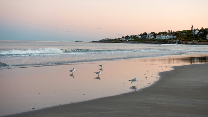 Your Summer Bucket List