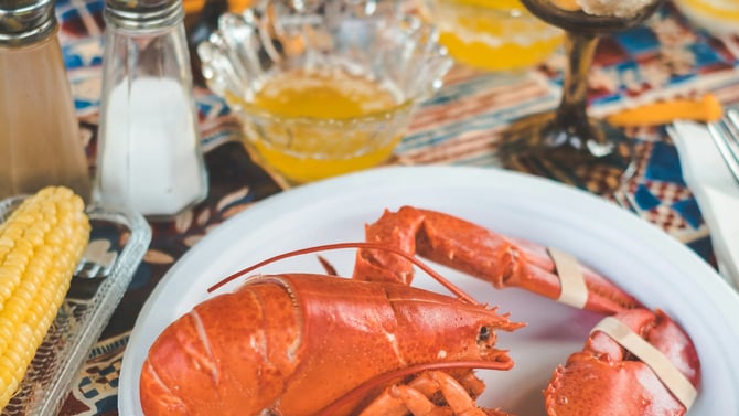 Maine Lobster Love: Cracking into a Coastal Classic!
