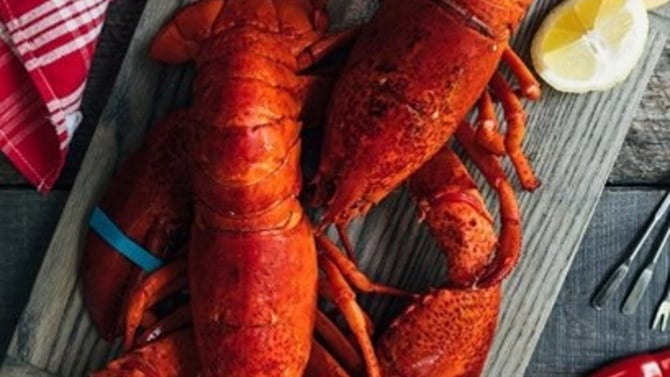 Authentic Maine Lobster Rolls