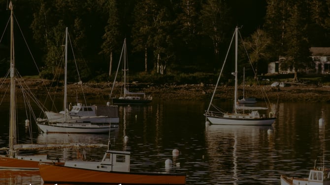 A Love Letter To Maine